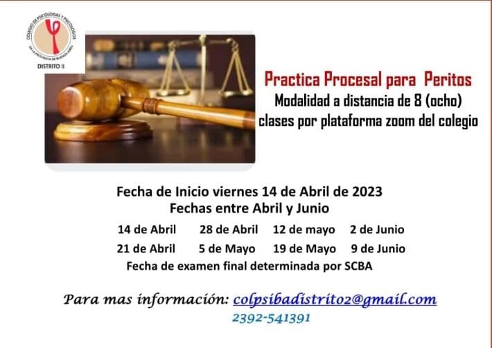 CURSO DE CAPACITACIÓN EN PRÁCTICA PROCESAL PARA PROFESIONALES AUXILIARES DE LA JUSTICIA - Distrito II