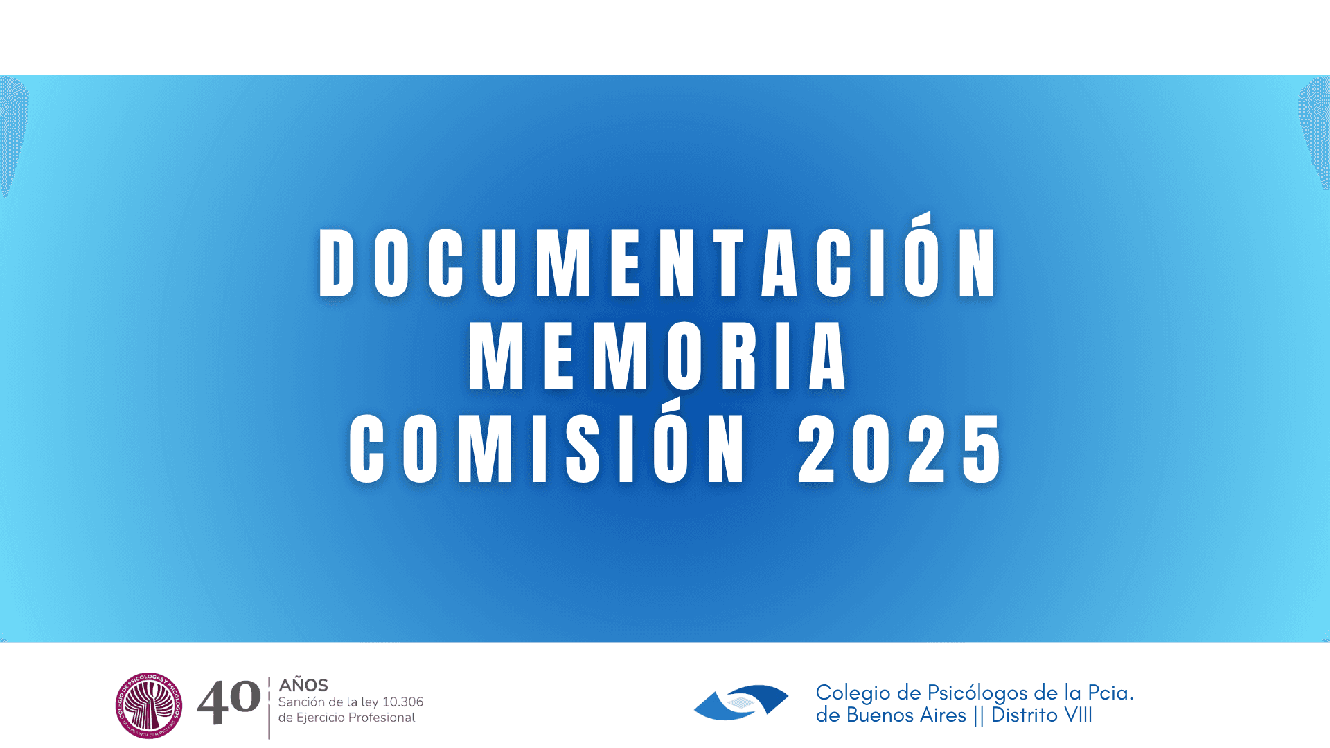 Documento Memoria Comisión 2025