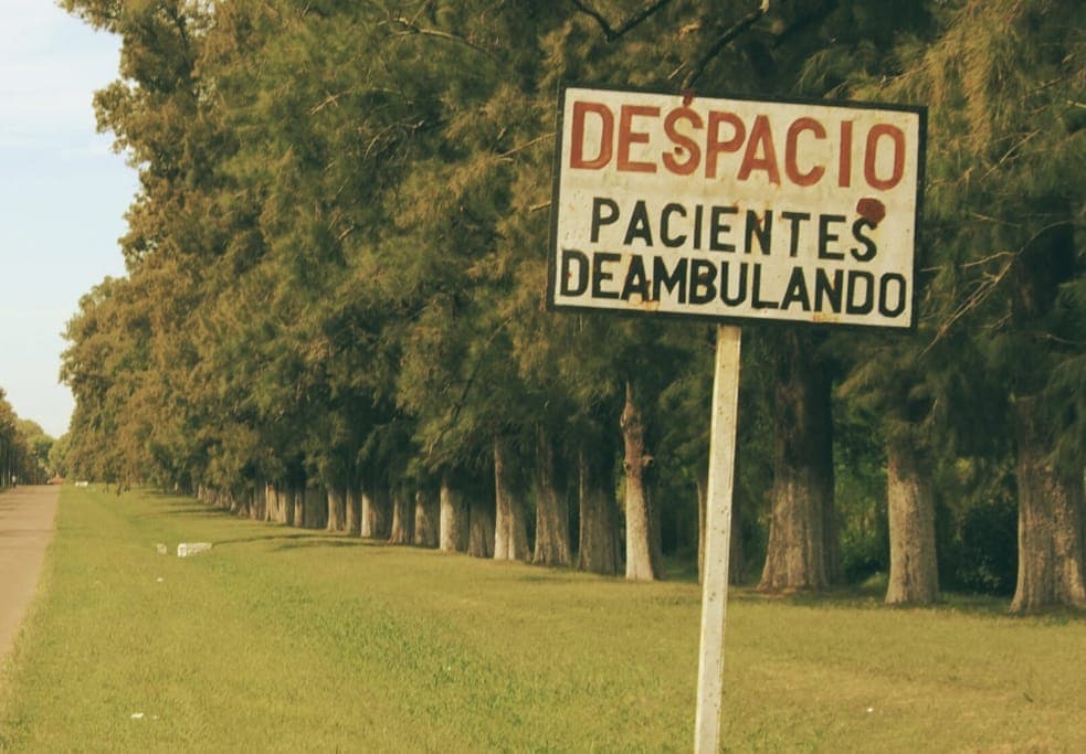 EN EL DÍA DE LA SALUD MENTAL, UN ELOGIO A LA LOCURA