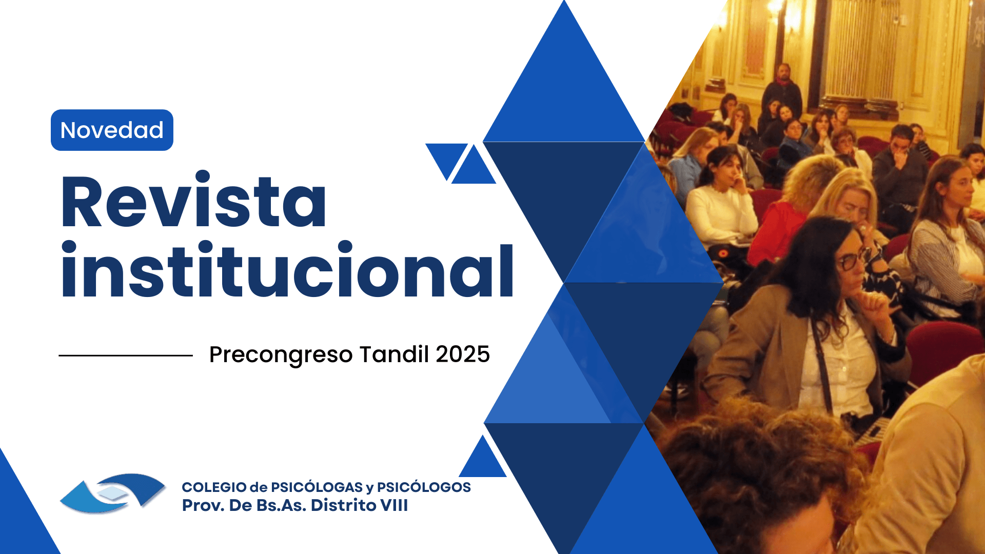 Revista institucional